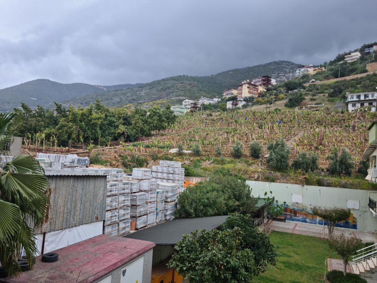 Kleopatra Sultan Rezidans Apartment Alanya Bagian luar foto